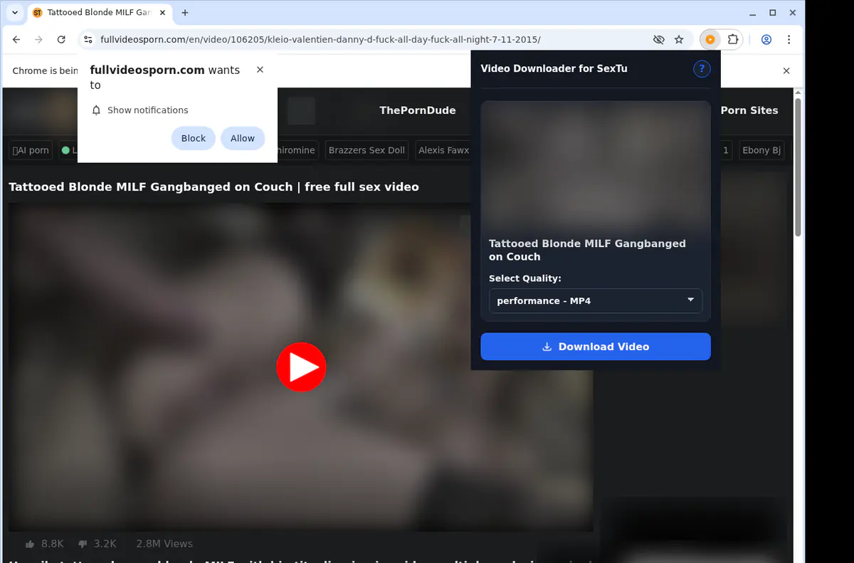 Sextu Video Downloader screenshot 3